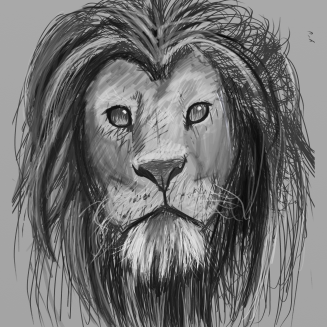 lion3