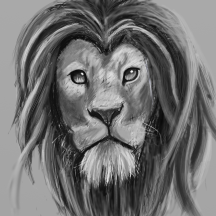 lion6