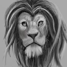 lion7