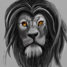 lion8