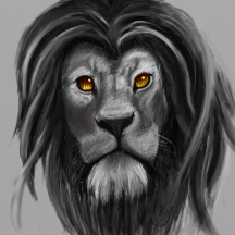 lion9